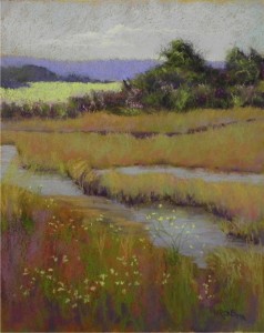 Sepowet Pastorale #3, 20 x 16, Rives BFK