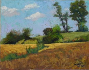 Sugarland Cornfields, 11 x 14, UART 500