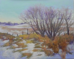 Winter Fields, 16 x 20, Pastelbord