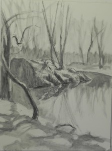 Lay in with graphite on white 12 x 16 Pastelbord