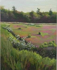 Evening Light on the Bog, 20 x 16, UART 500