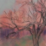 Toned board with pan pastel and charcoal wetted with a brush
