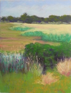 Chincoteague Grasses, 14 x 11, UART 400