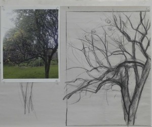 Initial charcoal drawing and photo