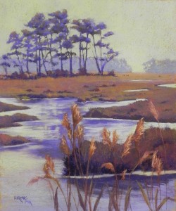 Misty Day, Chincoteague, 24" x 20", BFK Rives and Colourfix Liquid Primer