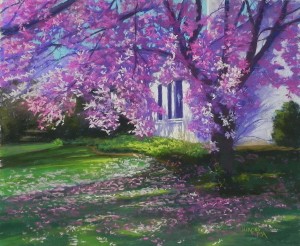 Magnolia, Kenwood, 20 x 24, pastel premiere white