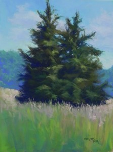 Evergreens Study, 16 x 12 Pastelbord