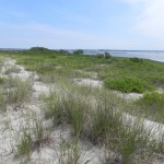 Typical seascape in the Hamptons