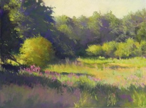 Sunlit Field, St. Andre de Double, 12 x 16, Pastel Premier "Italian Clay"