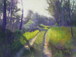 Sunny Path, St-Aulaye, 12" x 16", Pastel Premiere "Italian clay"