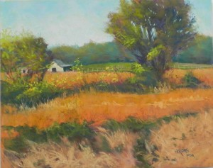 Soy Bean Fields, 16" x 20", Pastelbord