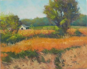 Soy Bean Fields, 16" x 20", Pastelbord