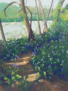 Bluebells at Carderrock, 24" x 18", Pastel Premiere "Italian clay"