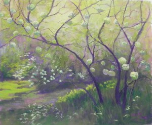 Snowball Vibernum, McCrillis Gardens 20" x 26", Pastel Premiere white (unmounted)