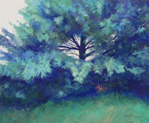 Turquoise Pine, 20" x 24", pastel premiere white fine grit