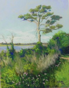 Lonesome Pine (Chincoteague), 14" x 11", UART 320